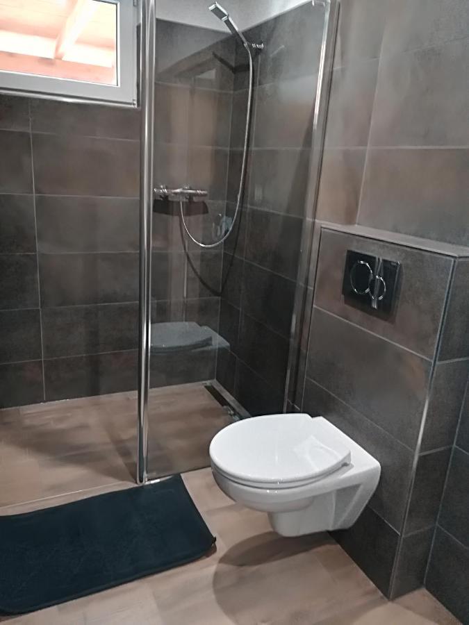 Apartmány Dana Horni Branna Exterior foto